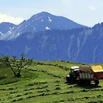 Alpen Wohlfuehlquartier Hébergement de vacances Bayersoien