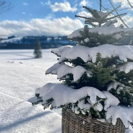 Holiday home Alpen Wohlfuehlquartier Bad Bayersoien